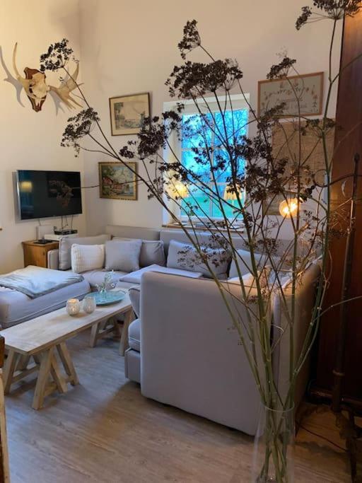 Landhaus „Blattgold“ Lohme Ngoại thất bức ảnh